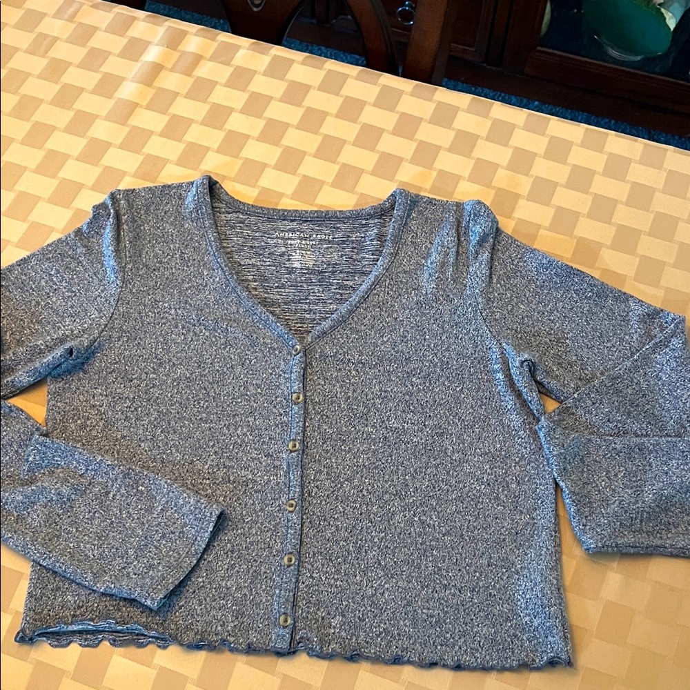 American Eagle Outfitters Soft & Sexy Plush Sweater